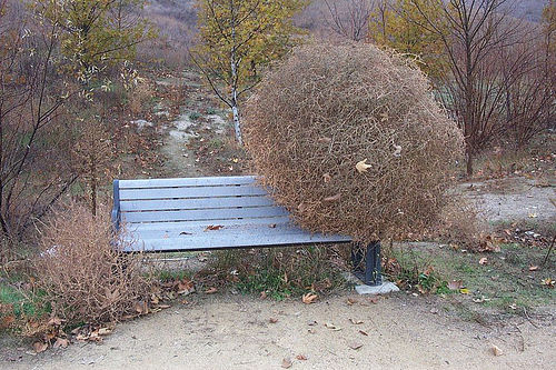 tumbleweed-bench.jpg